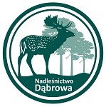 Nadleśnictwo Dąbrowa